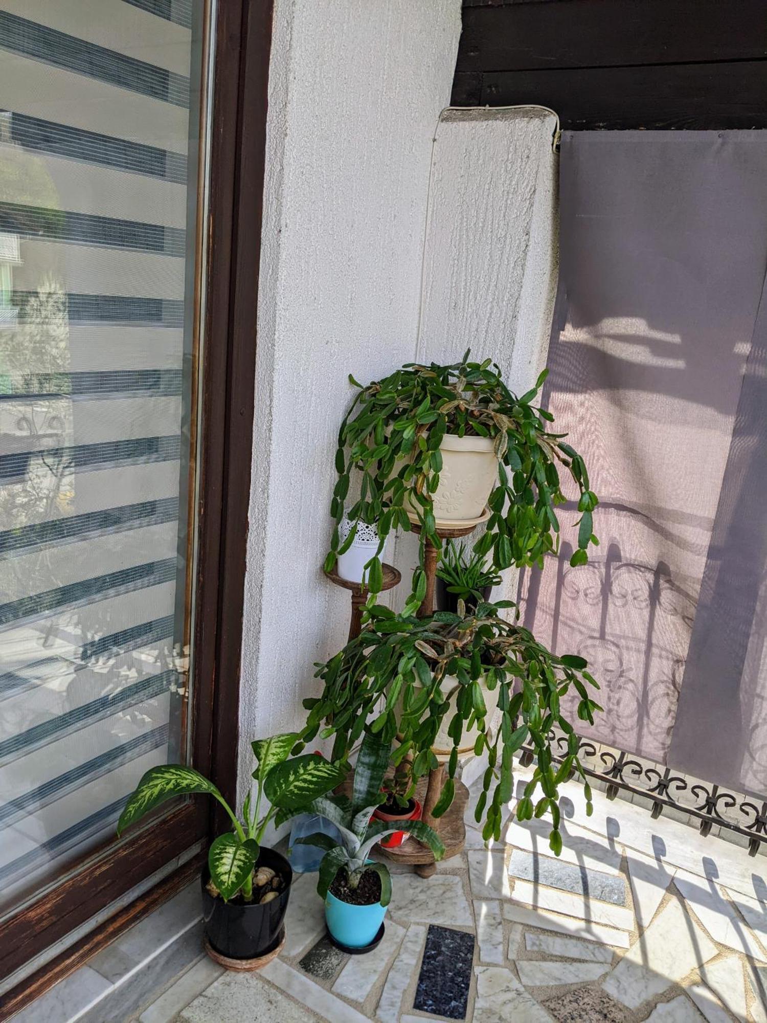 Apartmani Hrastik Bihać Zimmer foto